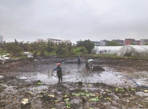 樊城河道鱼塘清淤
